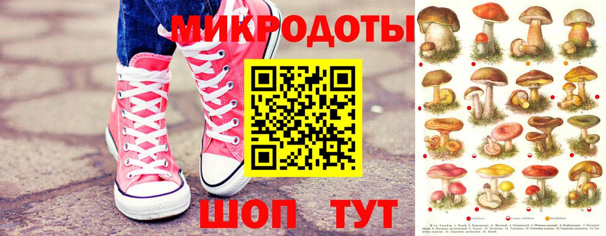 Минусинск  Псилоцибиновые грибы прущие грибы  Вход с VPN 